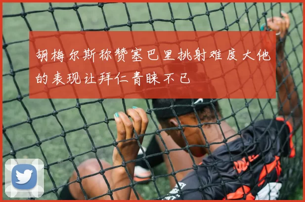 胡梅尔斯称赞塞巴里挑射难度大他的表现让拜仁青睐不已